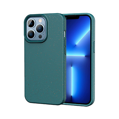  Blue-Eco Case 