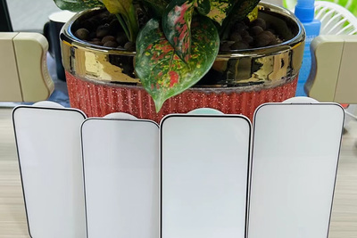 iPhone 16 data has been comfirmed